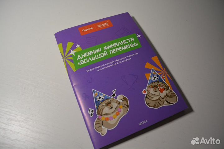 Дневник финалиста Большой перемены