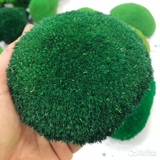 Кочка европейская стабилизированная