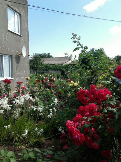 Дом 200 м² на участке 58 сот.