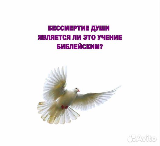 Бессмертие души. Вера в бессмертие души. Бессмертная душа. Открытки о бессмертной душе.