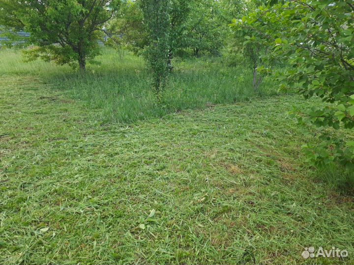 Покос травы