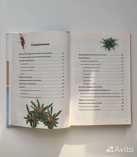 Е.Лебедева «Комнатные растения»