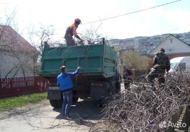 Спил деревьев, Корчевание пней