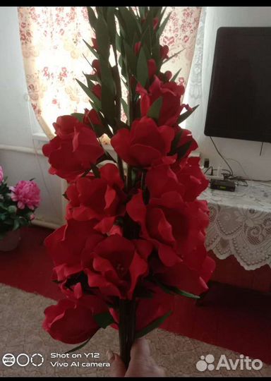 Гладиолусы в подарок