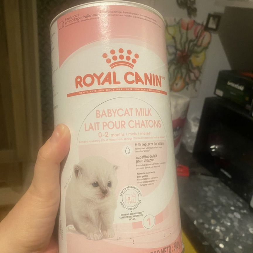 Молочная смесь для котят Royal kanin Babycat Milk