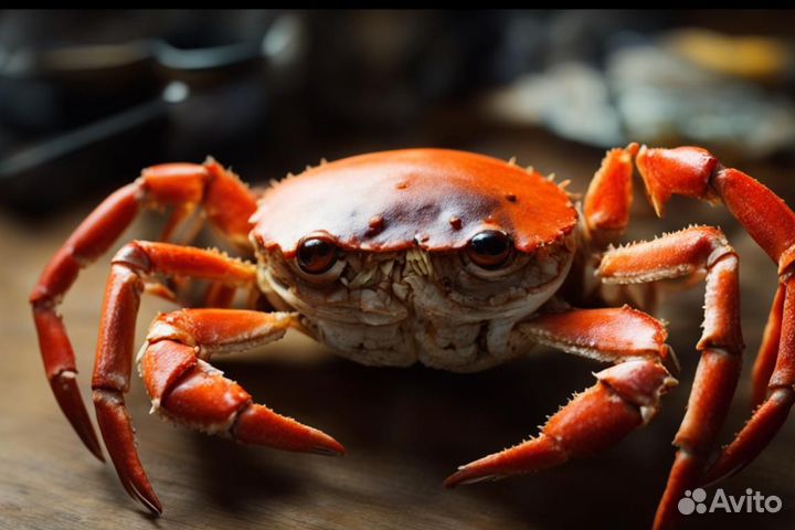 Подсобный рабочий / Вахта Великий Новгород / Крабы