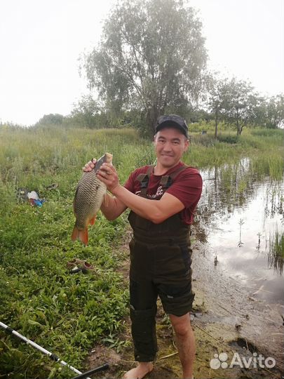 Рыбалка карп