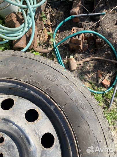 Tigar Sigura Stud 185/65 R15