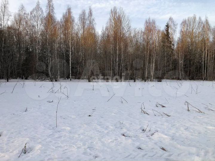 Участок 20 сот. (ИЖС)