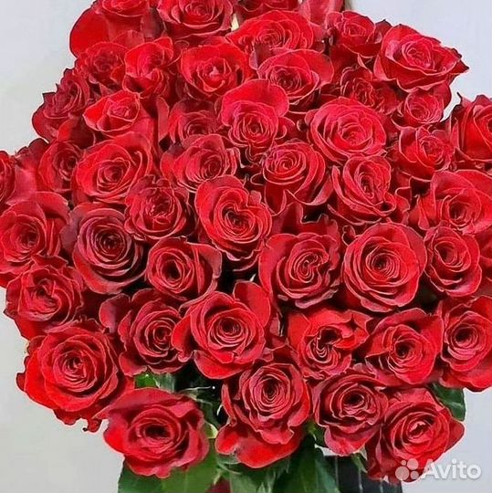 Высокие розы 150 160 170 180 190см доставка Москва