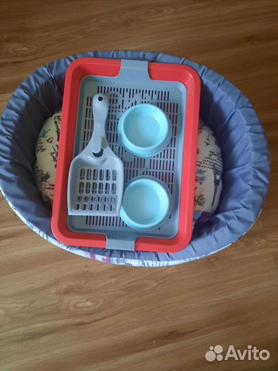 Набор для домашнего котика