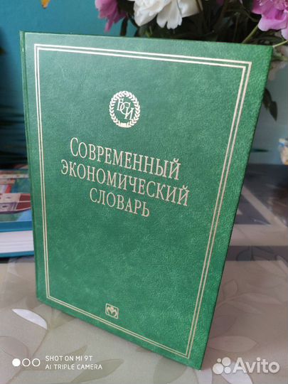 Современный экономический словарь