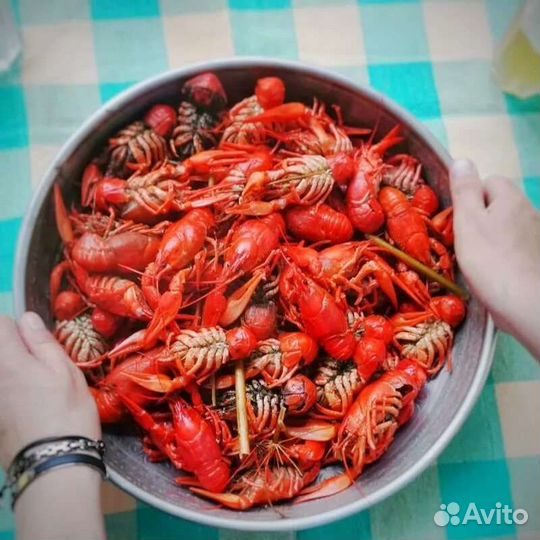 Живые раки