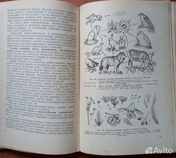 Е.А.Веселов Основы дарвинизма 1957 г