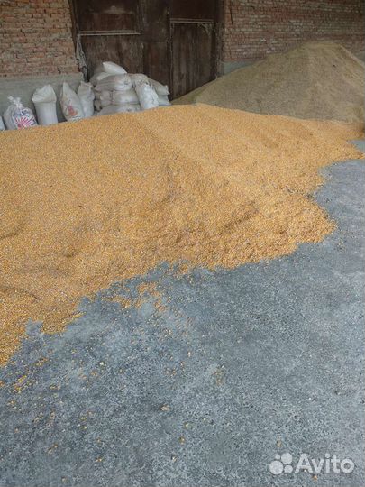 Корм, Отруби