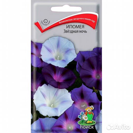 Ипомея Звездная ночь