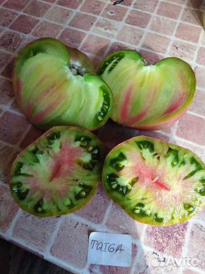 Семена томата