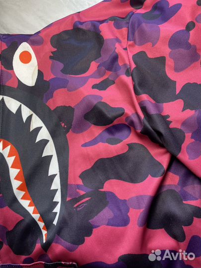 Зипка bape shark
