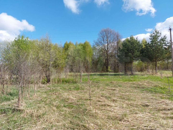 Участок 19 сот. (СНТ, ДНП)