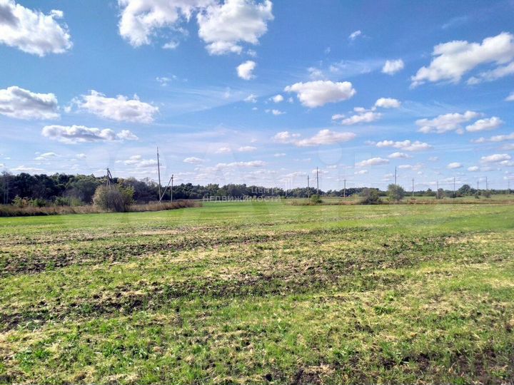 Участок 20,5 сот. (ИЖС)