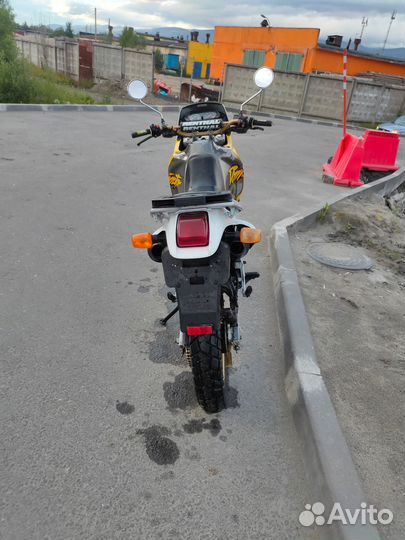Honda dominator nx 650