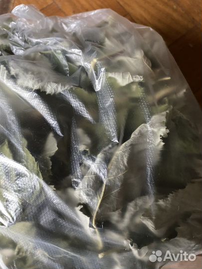 Чабрец, Иван чай