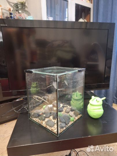 Аквариум