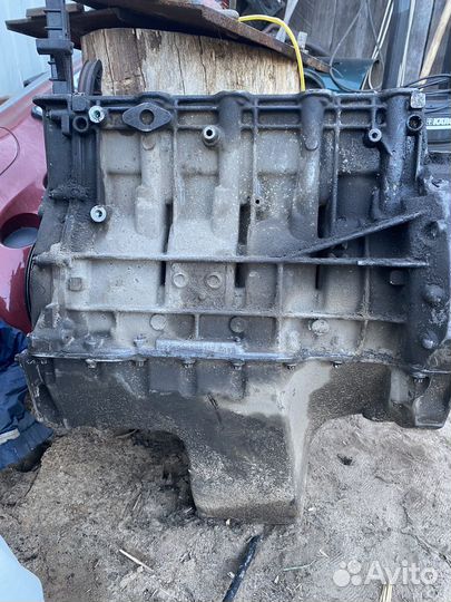 Головка (гбц) w168