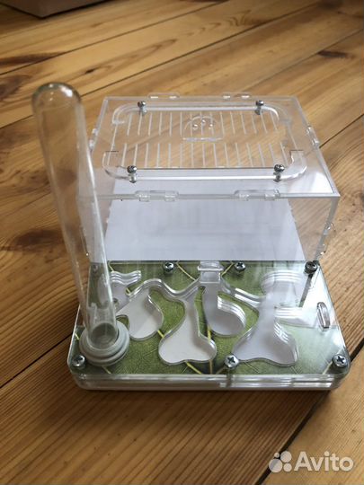 Муравьиная ферма бу