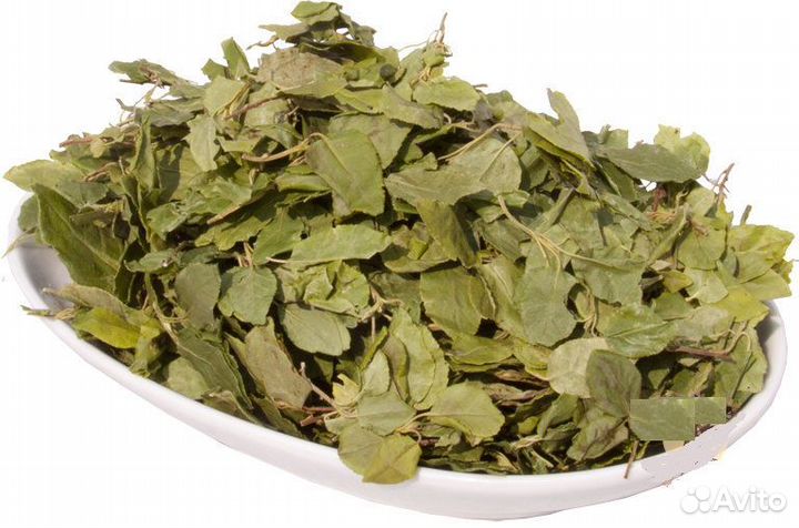 Боровая матка