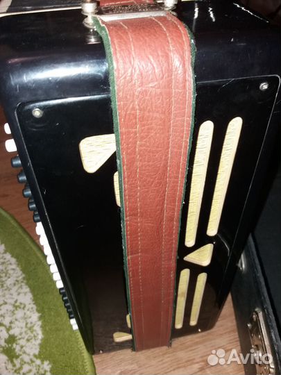 Баян вологодский