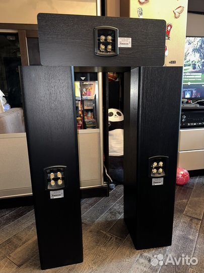 Напольные колонки vector hx 310, hx251