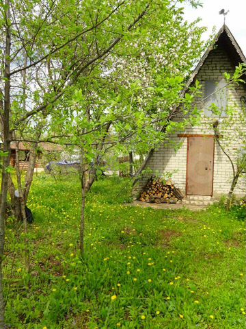 дачи в рязани районы. дача 3 рязань. авито дача рязань. авито дача рязань. дачи в районе голенчино.