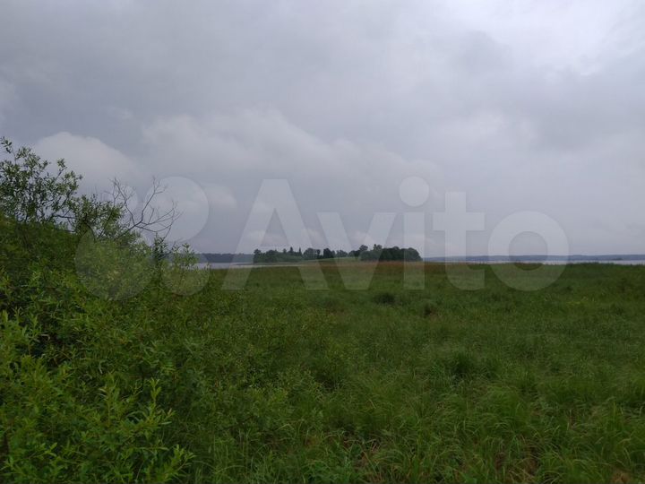Участок 48,1 сот. (ИЖС)