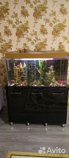 Аквариум с рыбками и тумбой
