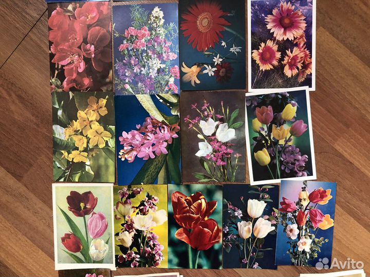 Открытки СССР цветы