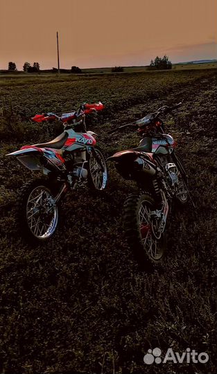 Motolend crf 250 2022