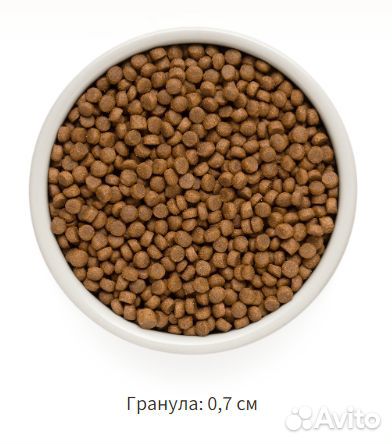Корма для животных