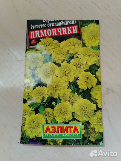 Цветы петунии бархатцы рассада