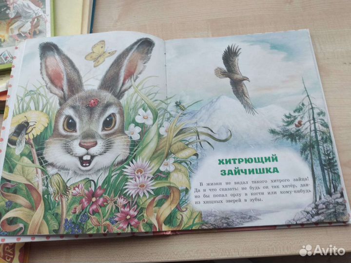 Детские книги(пакетом)