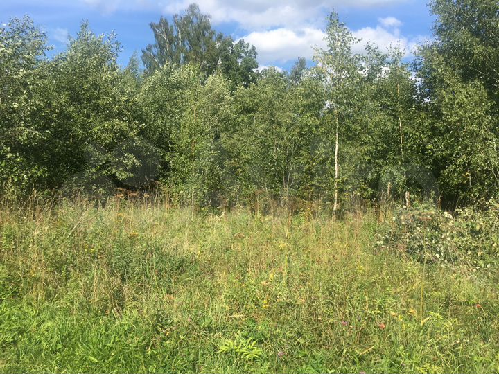 Участок 24 сот. (СНТ, ДНП)