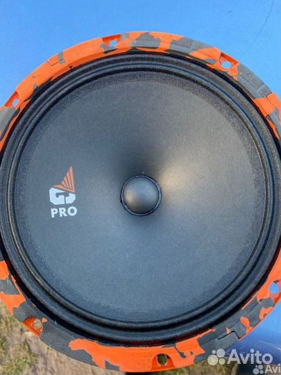 DI audio gryphon pro 200 midbass