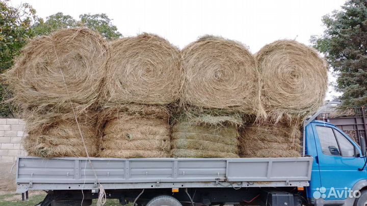 Сено в рулонах