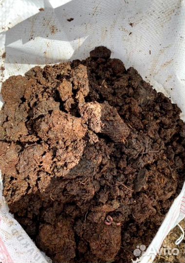 Перегной навоз коровий