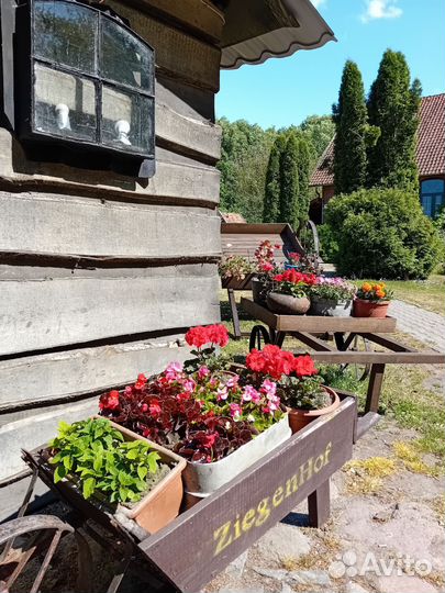 Грабли конные