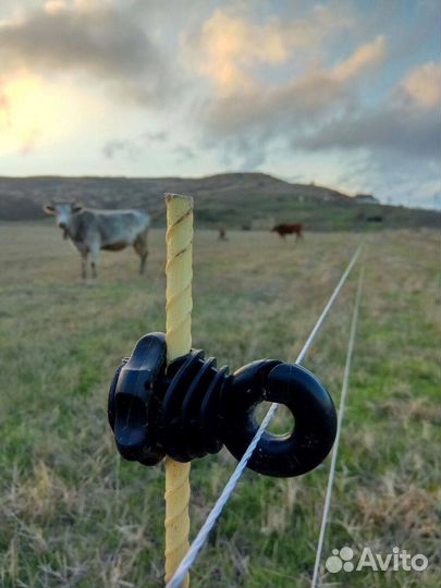Электропастух для коров