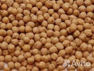 Нут оптом