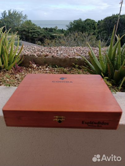 Коробка из под сигар cohiba