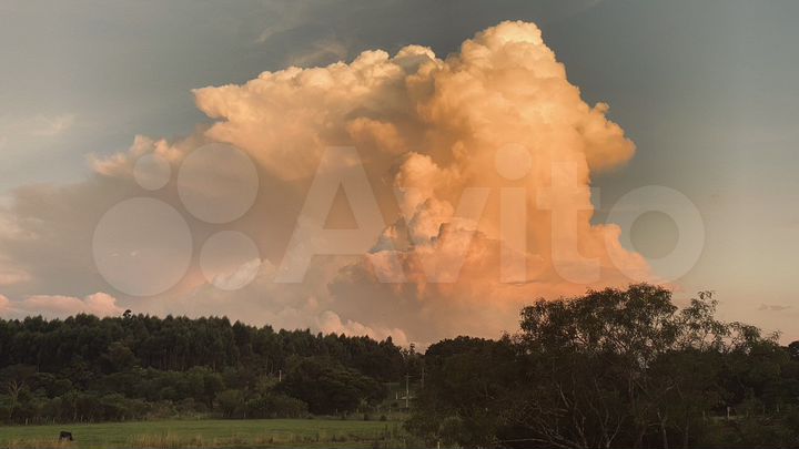 Дом 260 м² на участке 50000 м² (Парагвай)