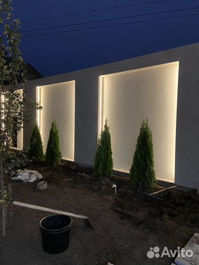 Туя смарагд